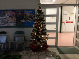 IMG_1237.JPG