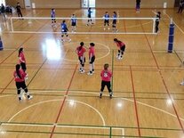 IMG_20240608_114723_454.jpg