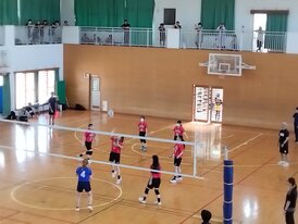 IMG_20241102_121419_476.jpg