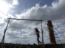 IMG_20241129_134103_655.jpg
