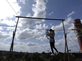 IMG_20241129_134924_882.jpg